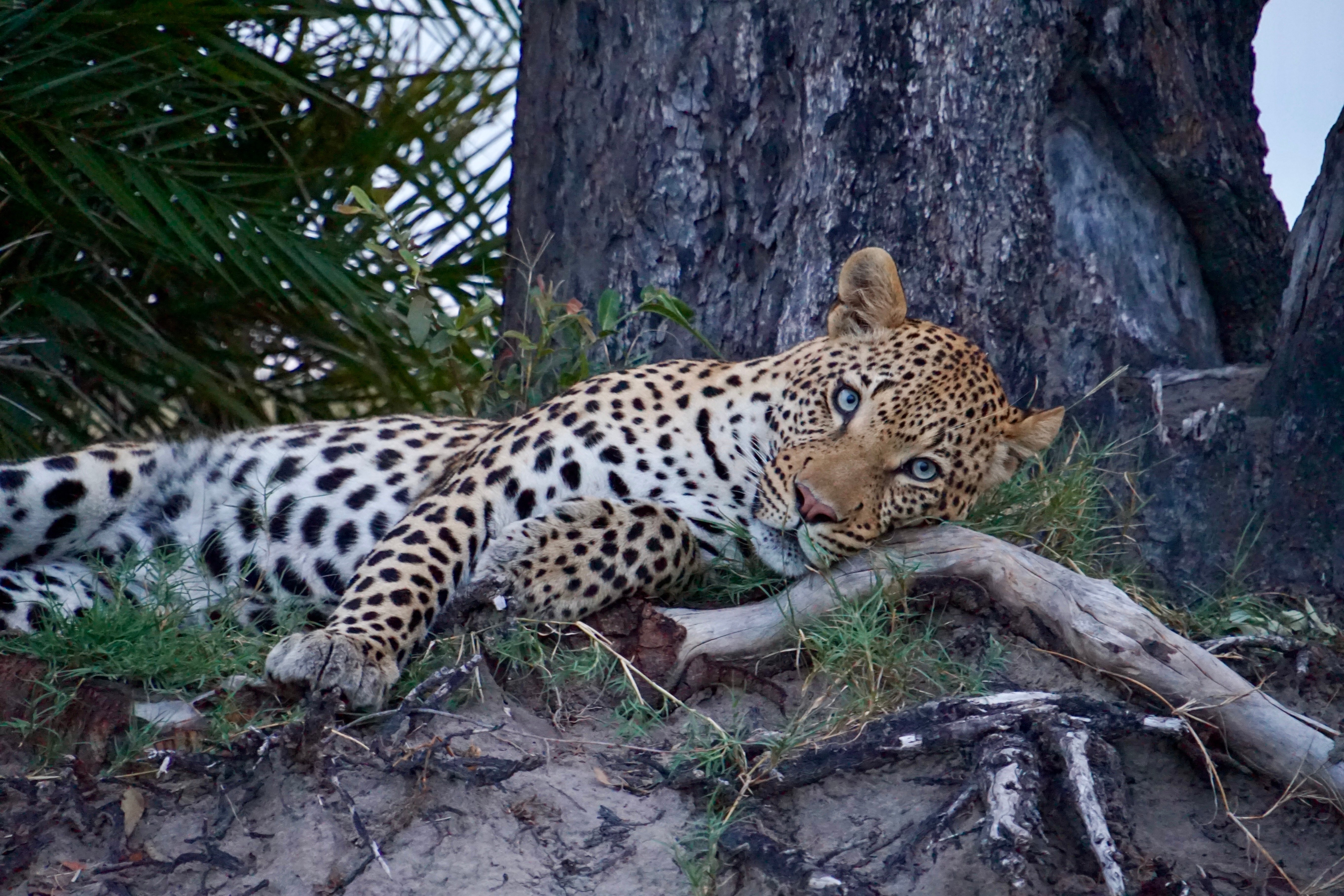 14 dní pod africkým sluncem by Dominik Kohel | Exclusive Tours DSC00138 3
