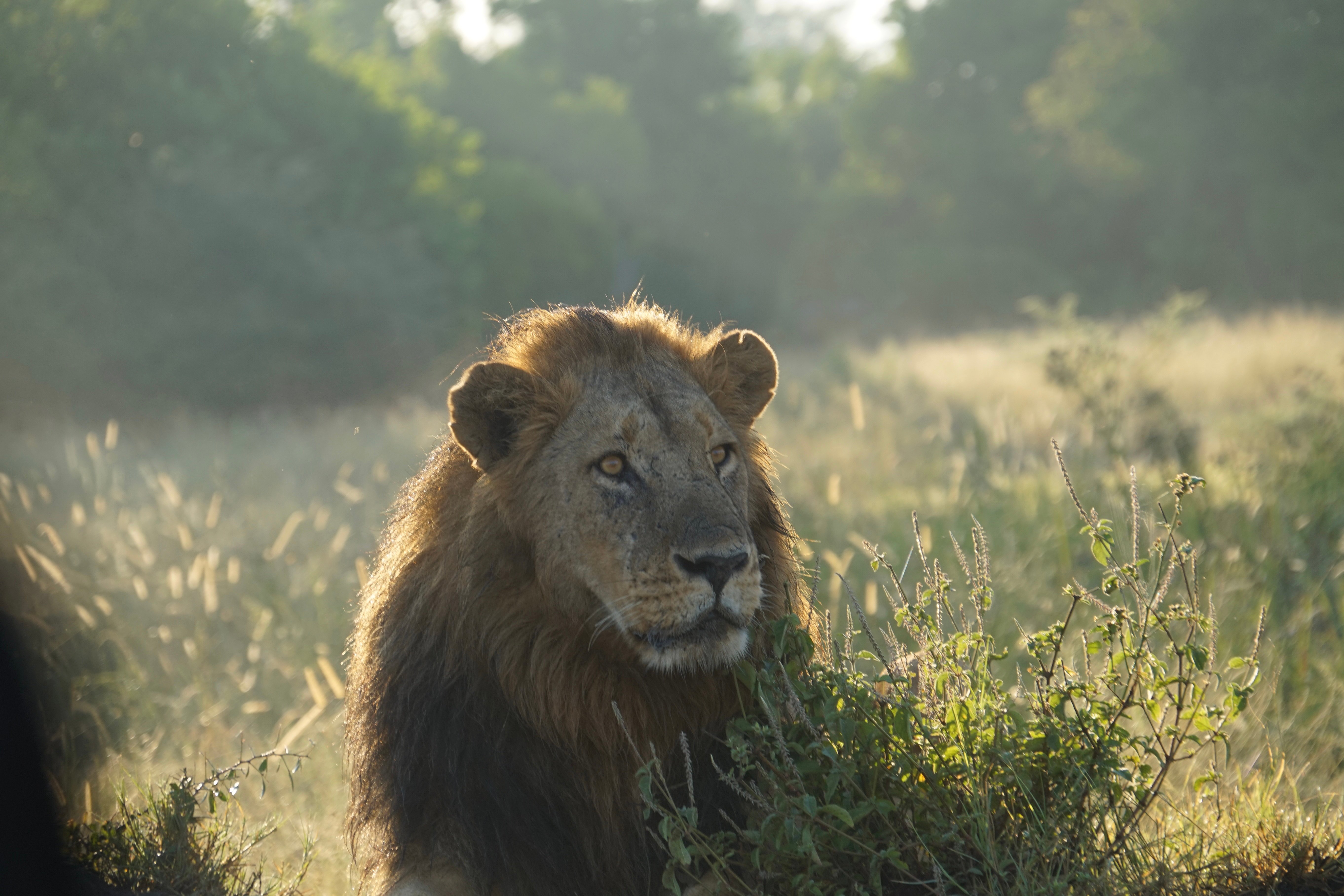 14 dní pod africkým sluncem by Dominik Kohel | Exclusive Tours DSC09744