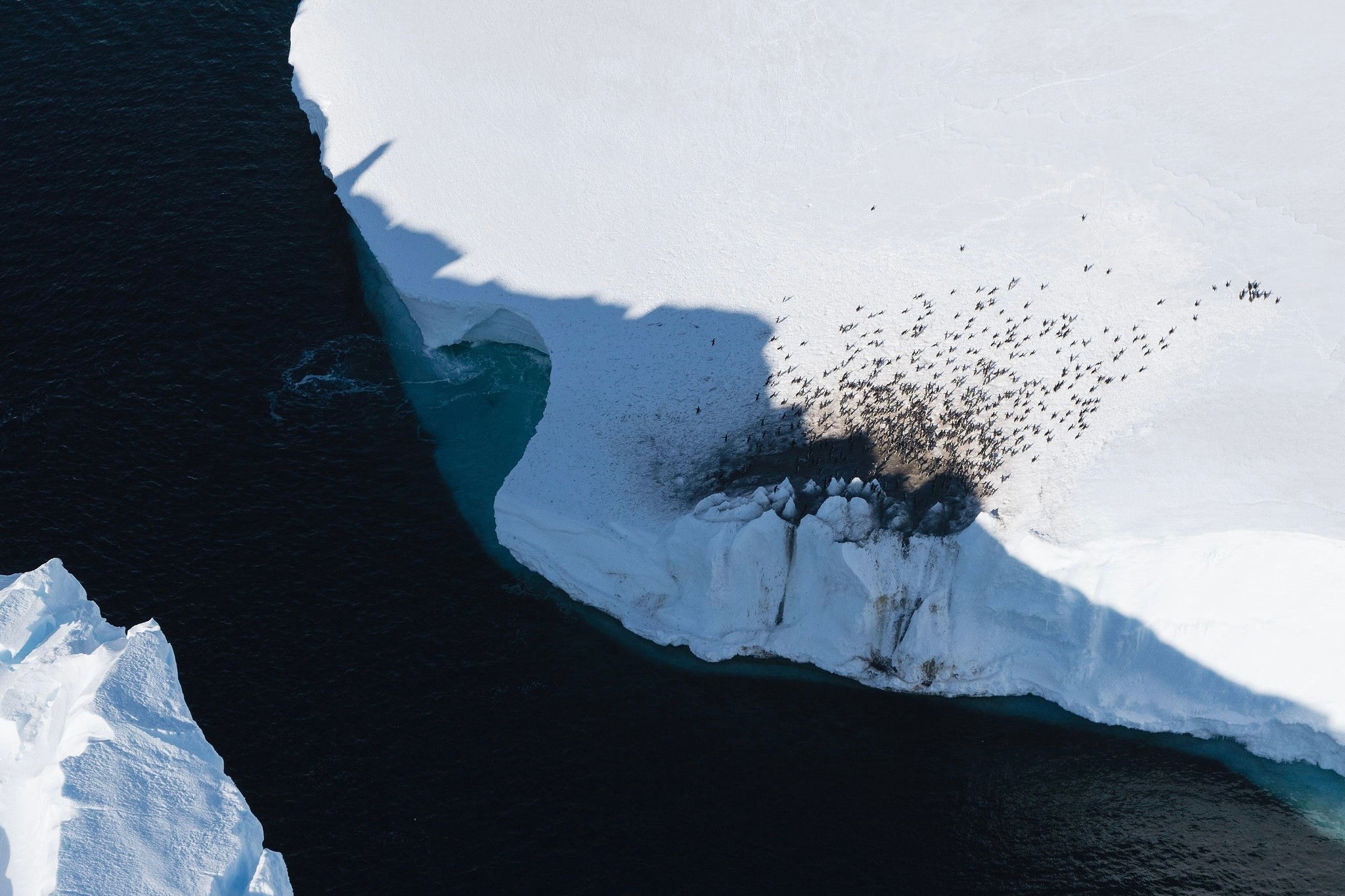 Antarktida | Exclusive Tours ©WhiteDesertAntarctica00058