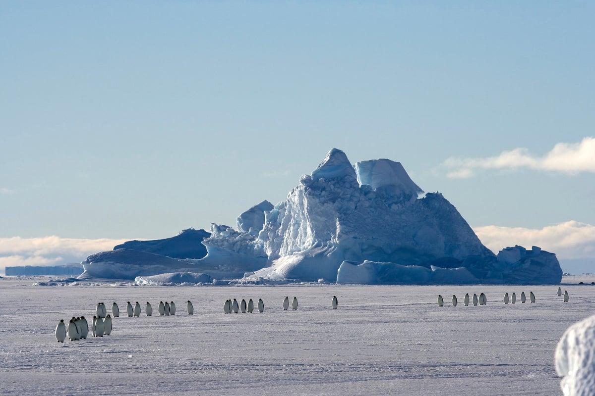 Antarktida | Exclusive Tours ©WhiteDesertAntarctica00060-1