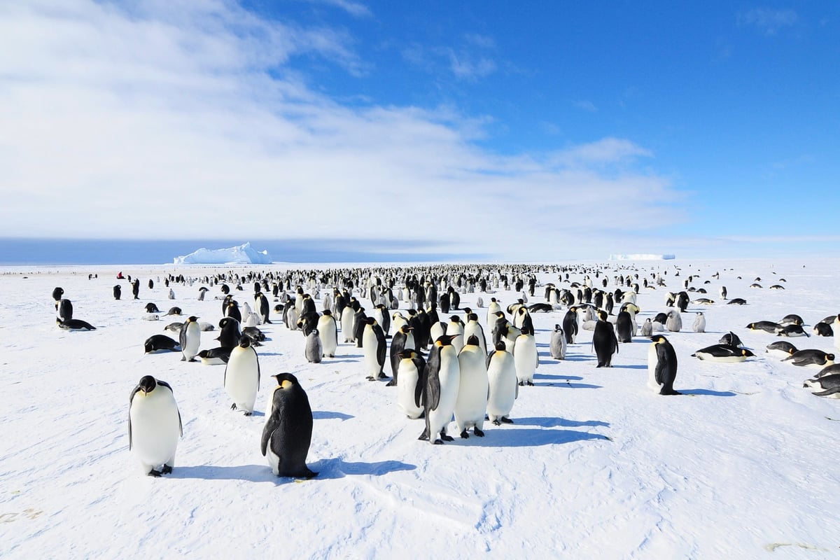 Antarktida | Exclusive Tours ©WhiteDesertAntarctica00068