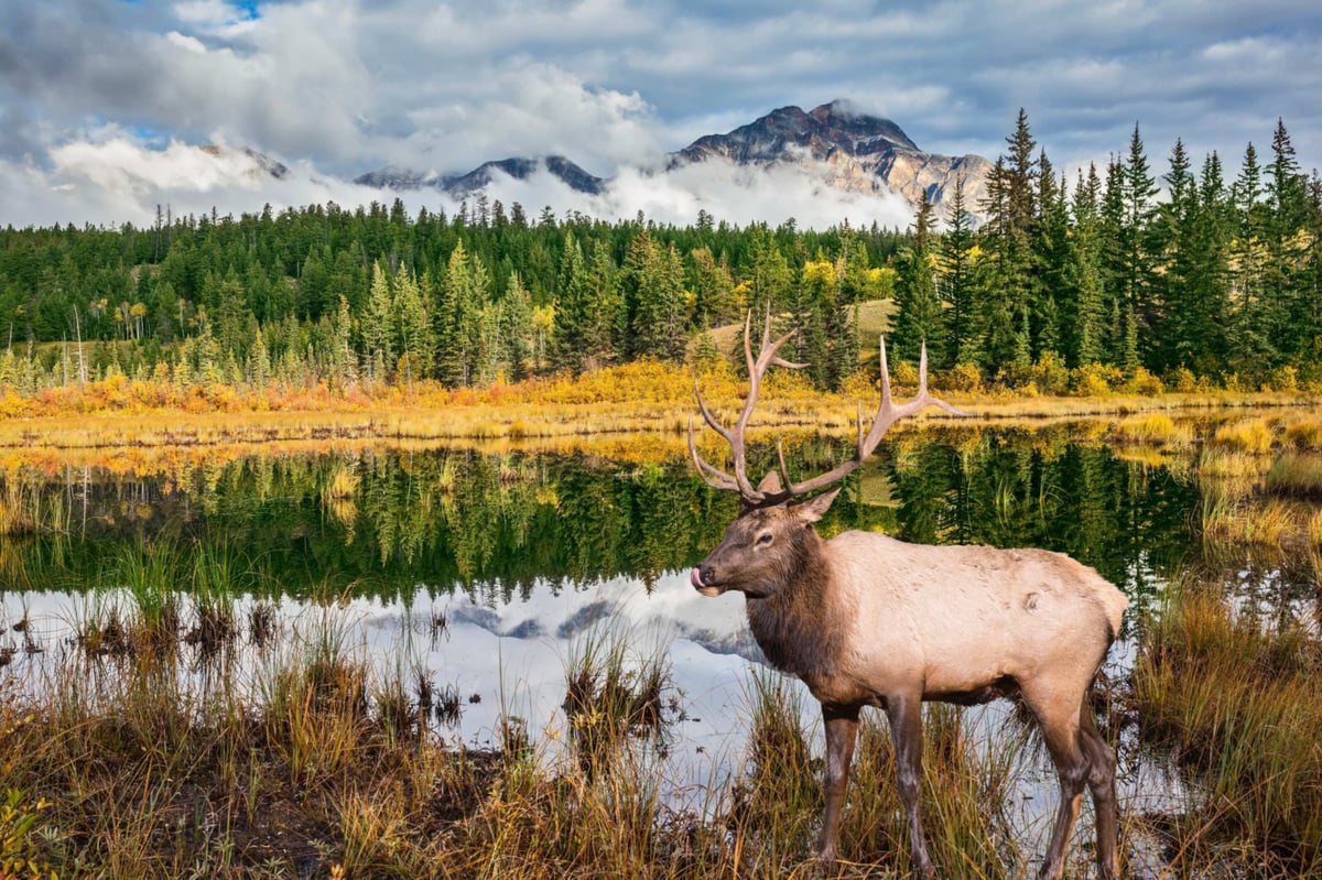 Canada unplugged shutterstock_370678673