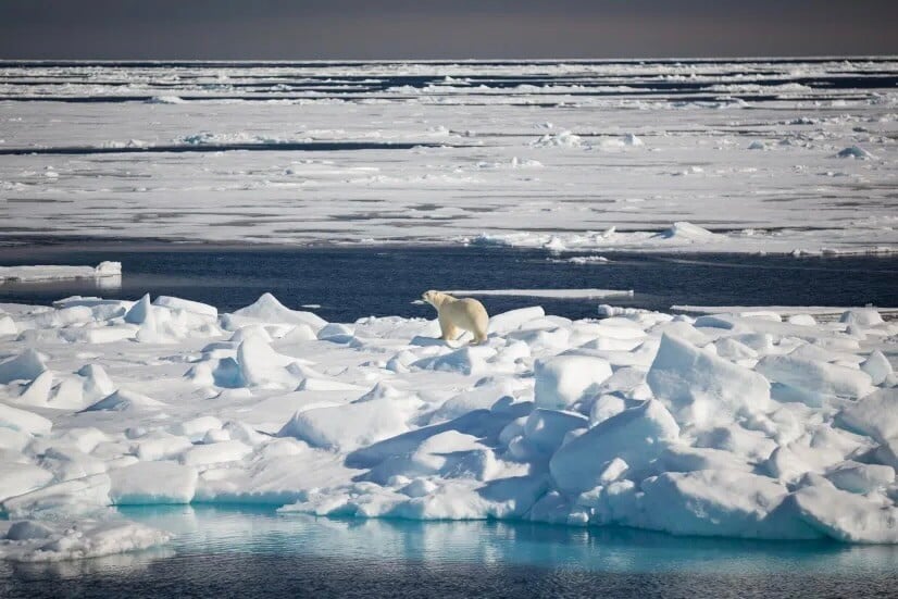 Jen tak se vypnout | Exclusive Tours QuarkExpeditions_acaciajohnson_svalbard_2016__30_Credit-AcaciaJohnson