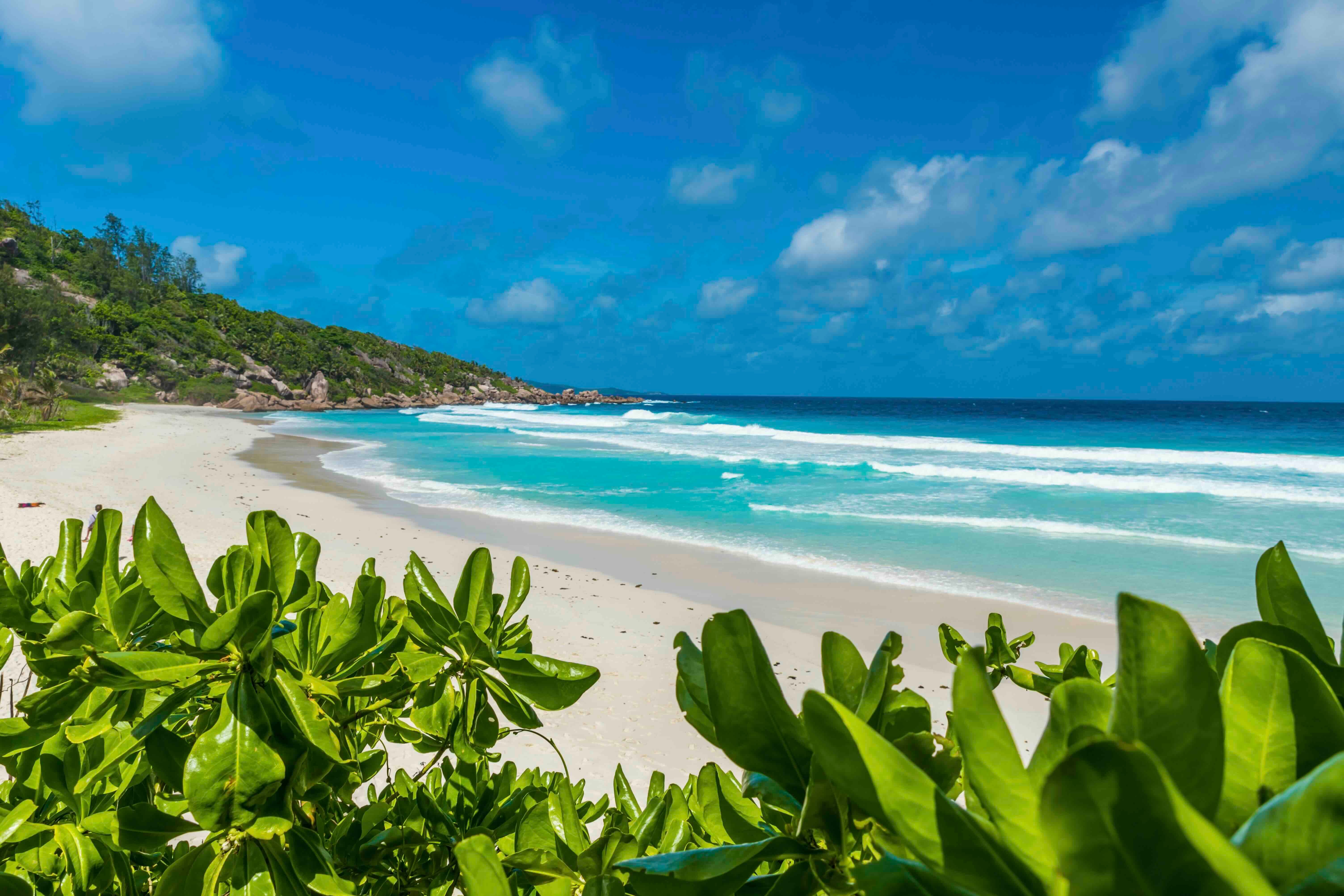 La Digue | Exclusive Tours 12