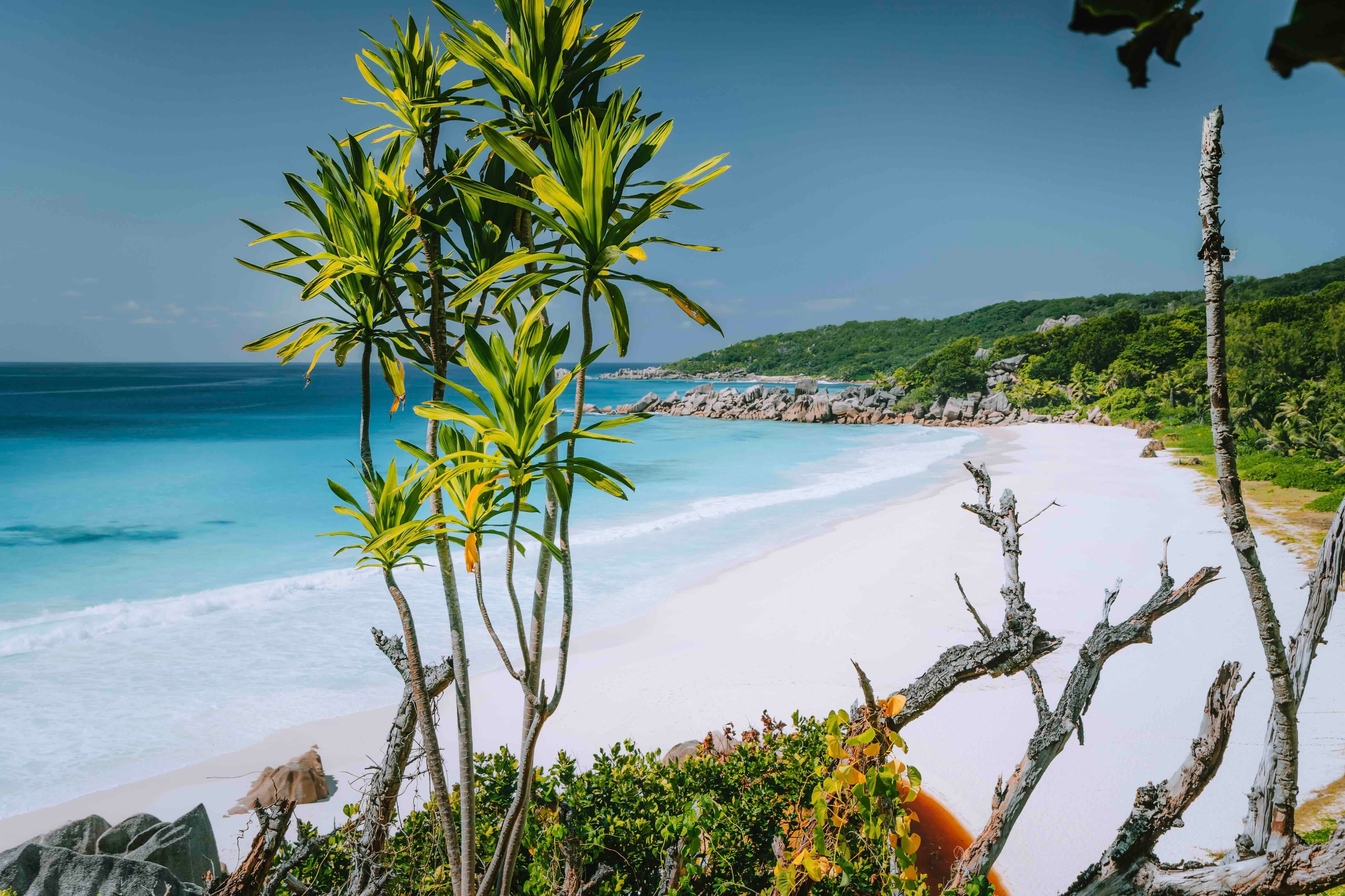 La Digue | Exclusive Tours 9