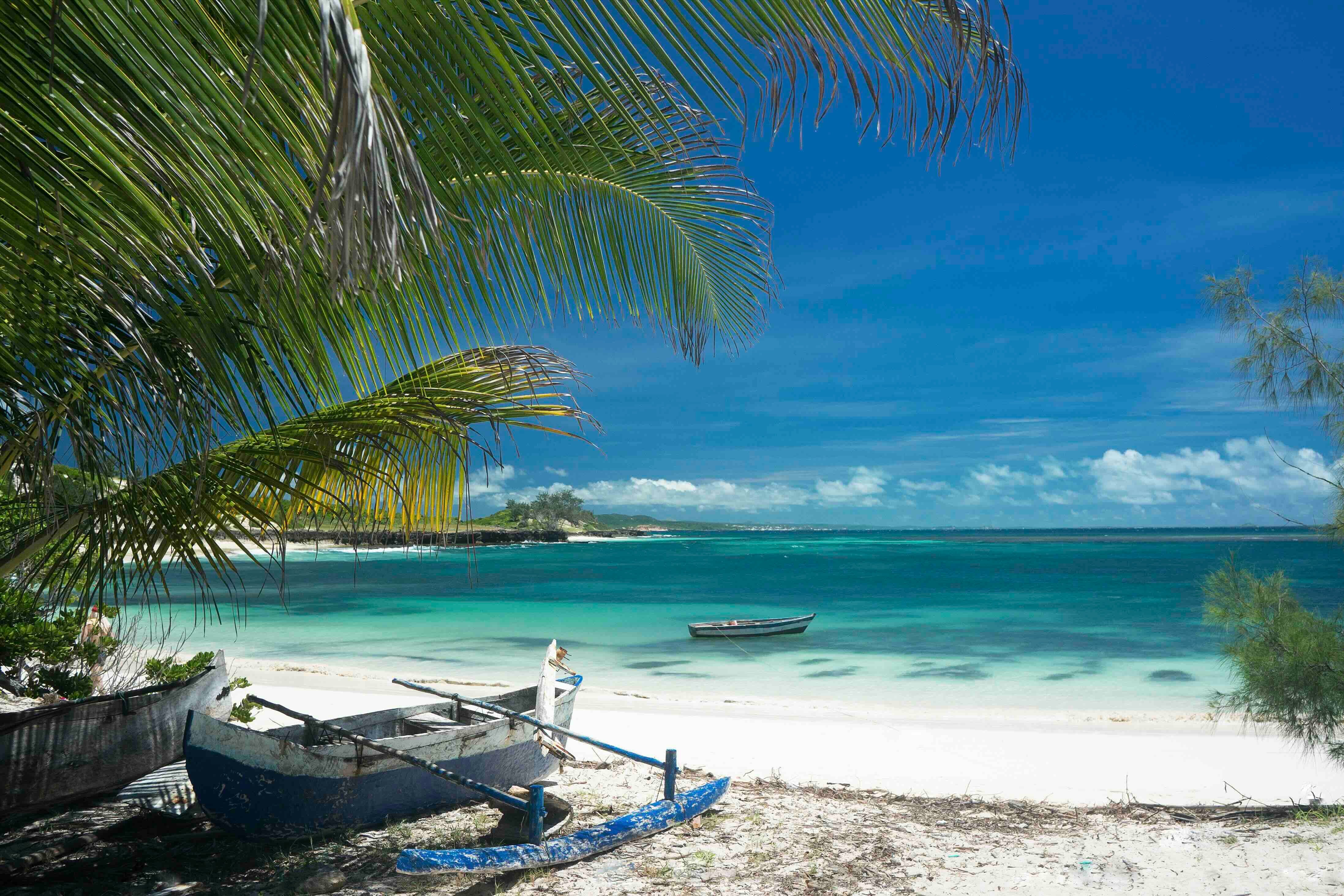 Madagaskar – místo vzdorující evoluci | Exclusive Tours shutterstock_427591552