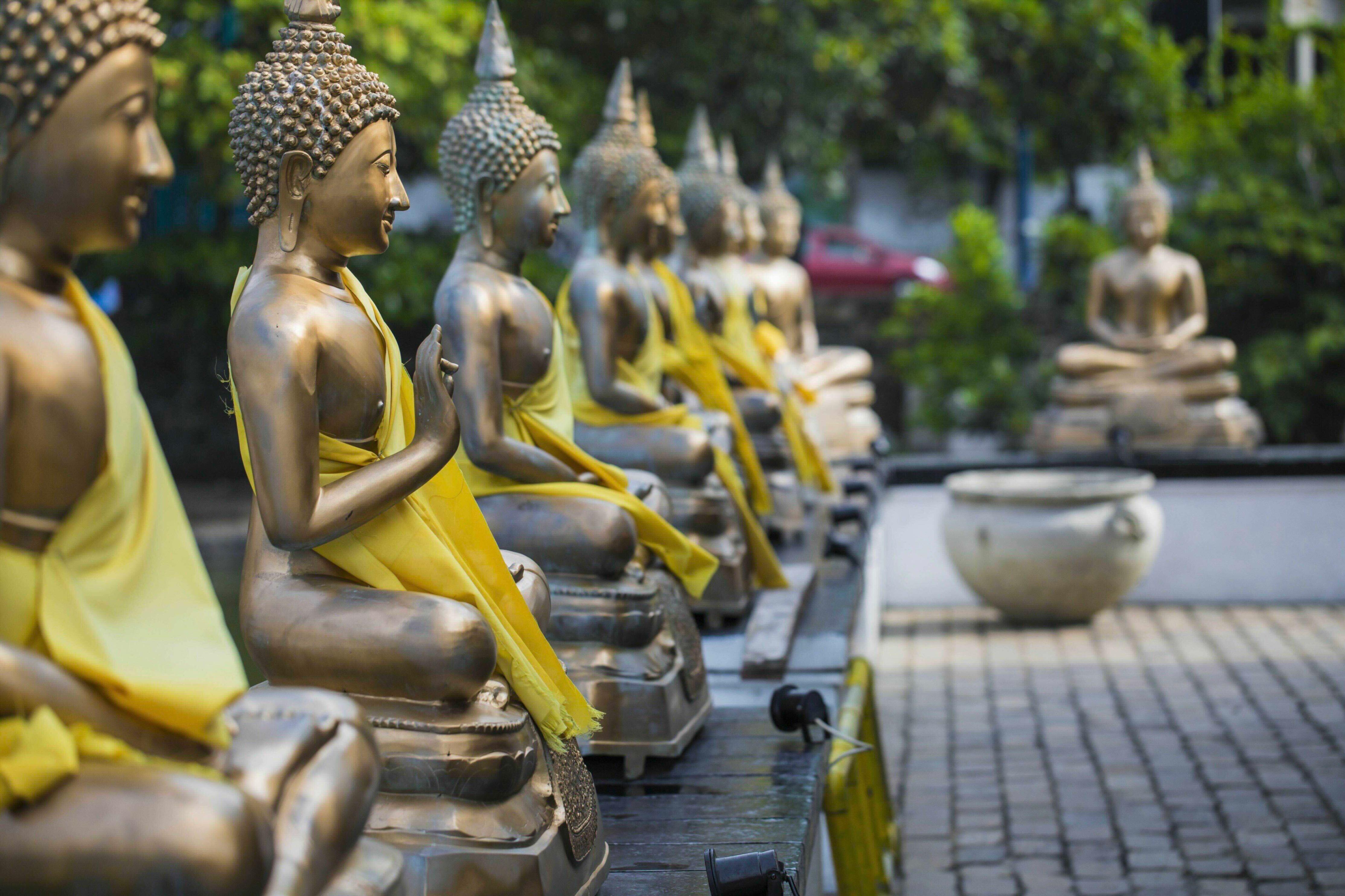 Srí Lanka – ostrov rajského vyhnanství shutterstock_535350205