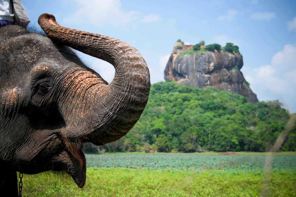 Srí Lanka – ostrov rajského vyhnanství shutterstock_557440192