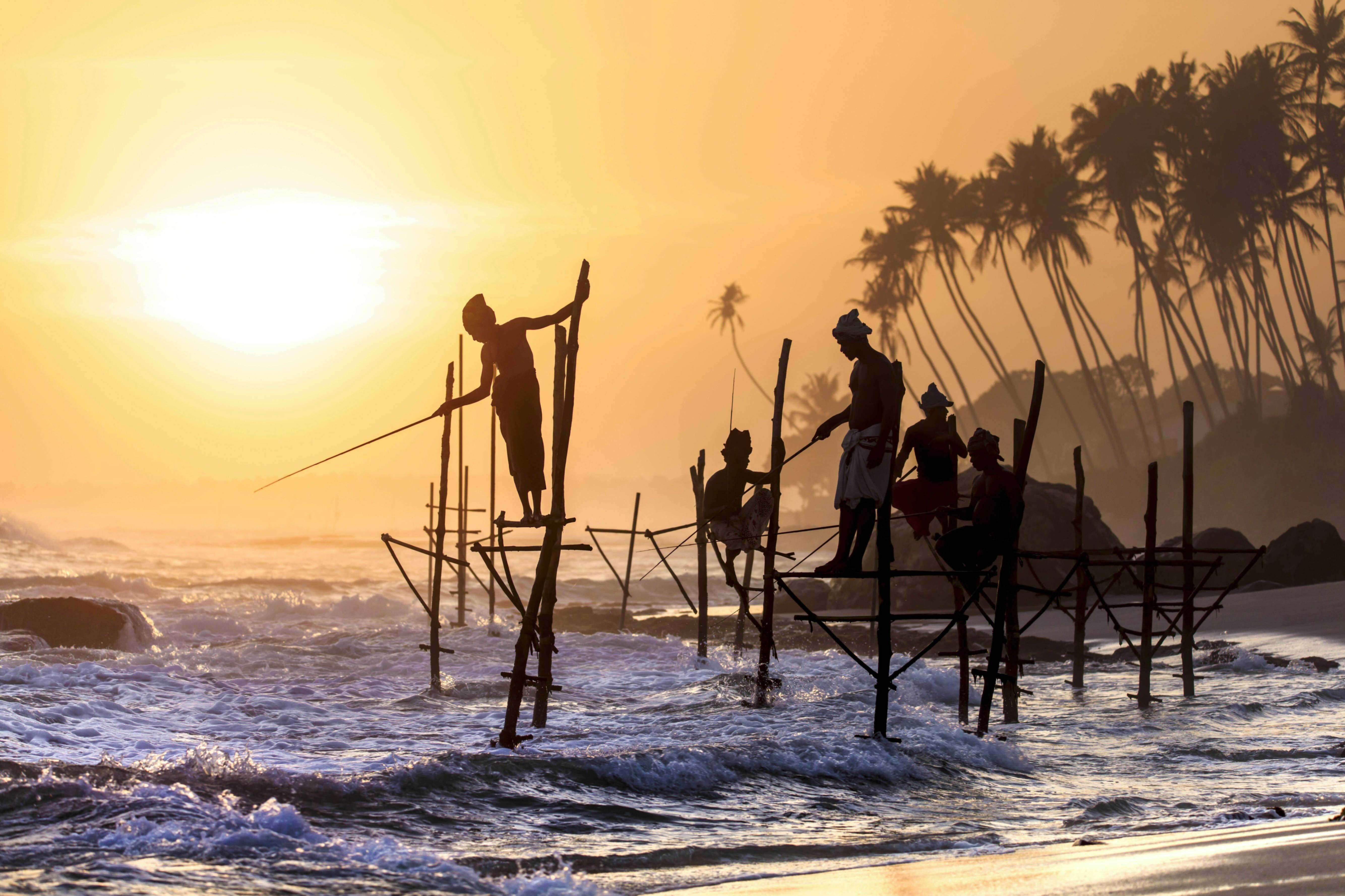 Srí Lanka – ostrov rajského vyhnanství shutterstock_589890524
