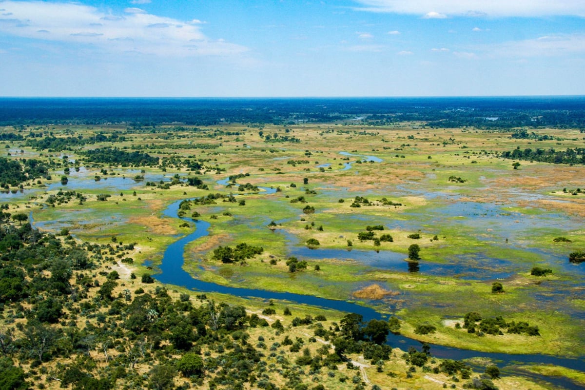 Večeře se slony v Botswaně | Exclusive Tours shutterstock_594736976