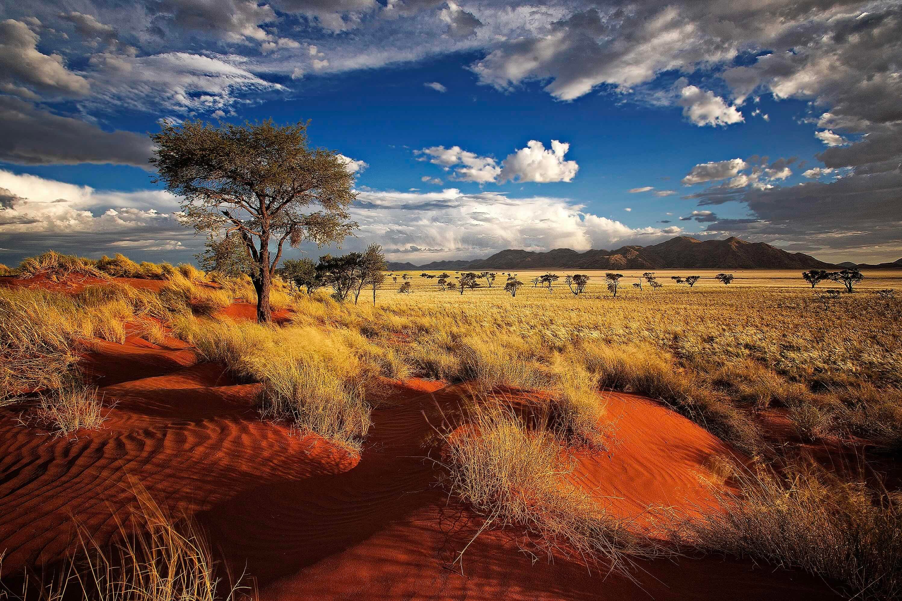 Země rudých písků | Exclusive Tours shutterstock_201561224